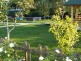 Garden, Apartments Blue House - Zlatibor