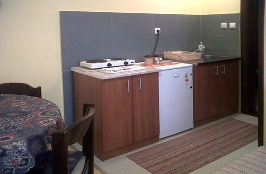 Apartment1 Kitchen, Apartments Aćimović - Zlatibor