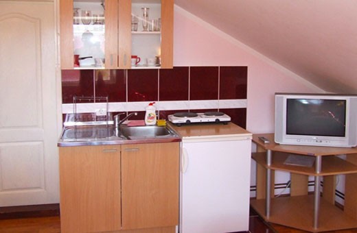 Bordeaux studio Kitchen, Apartments Blue House - Zlatibor