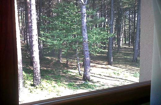 Apartment1 View from the windows, Apartments Aćimović - Zlatibor