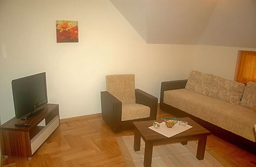 Apartment 2 Living room - Apartments Zlatibor Jasmine