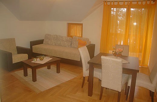 Apartment 2 Living room - Apartments Zlatibor Jasmine