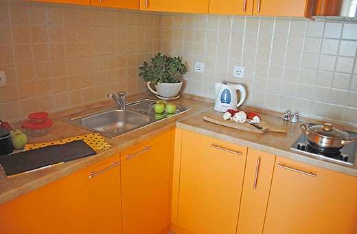 Kitchen, Apartments Zlatno brdo - Smederevo