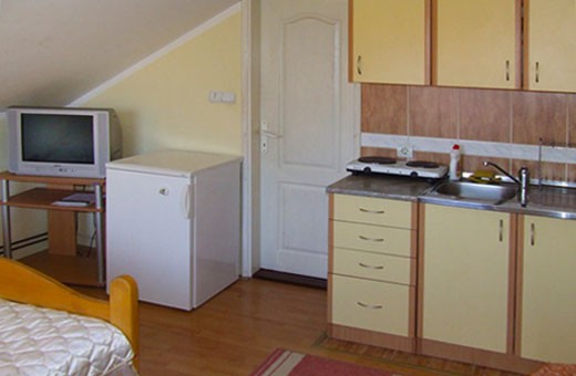 Yellow studio Kitchen, Apartments Blue House - Zlatibor